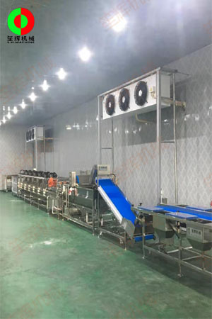 佛山客戶蔬果加工處理生產線現場安裝完成