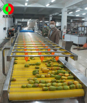 廣西客戶現(xiàn)場(chǎng)考察芒果清洗生產(chǎn)線完工測(cè)試