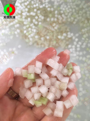 客戶自帶物料現場測試冬瓜處理生產線相關設備