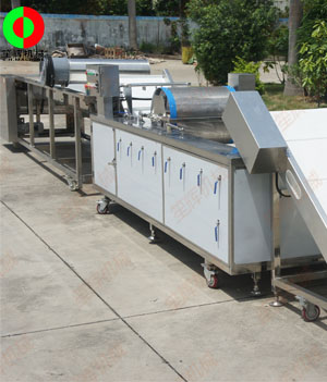 國外客戶訂制的藍莓自動清洗分選生產線順利生產完成測試中！