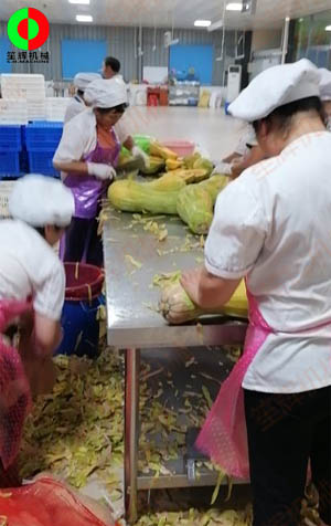 工程售后團(tuán)隊現(xiàn)場考察江西客戶生產(chǎn)現(xiàn)場,提供整套瓜果加工設(shè)備方案！