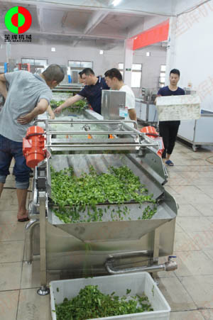 客戶親臨我司實地考察工廠及蔬果切割清洗生產線設備！