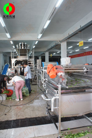 客戶自帶大批物料到我司測(cè)試蔬果處理設(shè)備后簽訂定購合同！